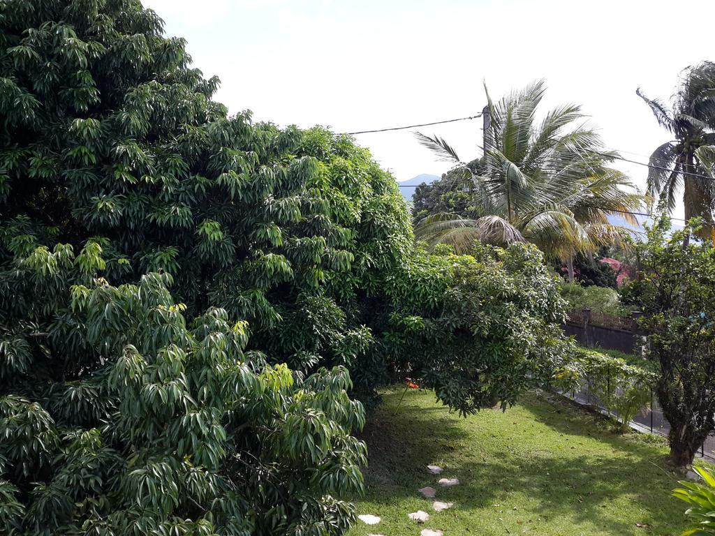 Appartement Les Bougainvilliers Vue Mer Saint-Claude Exterior foto